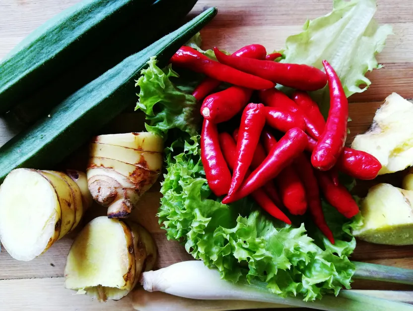 metabolismo